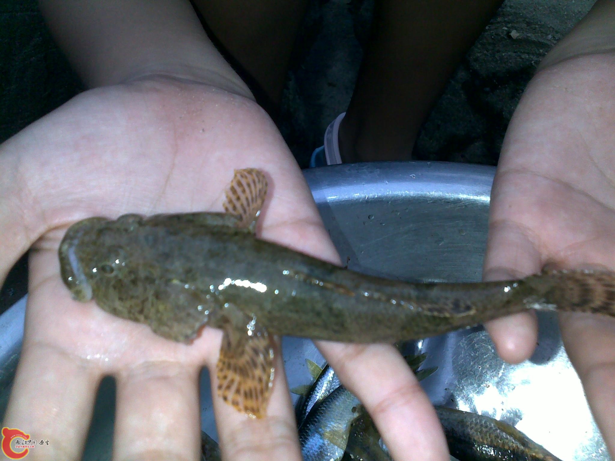 20110811252.jpg