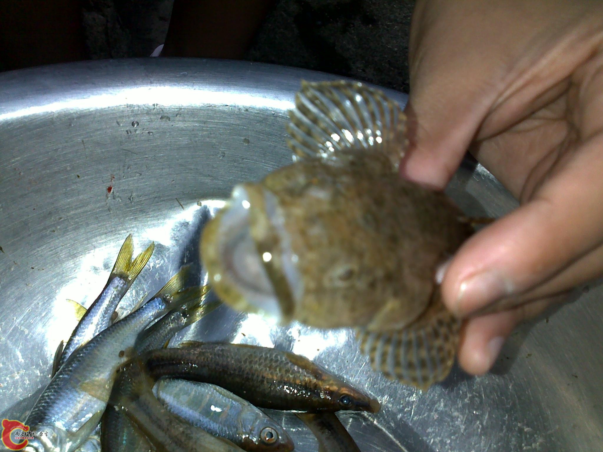 20110811254.jpg