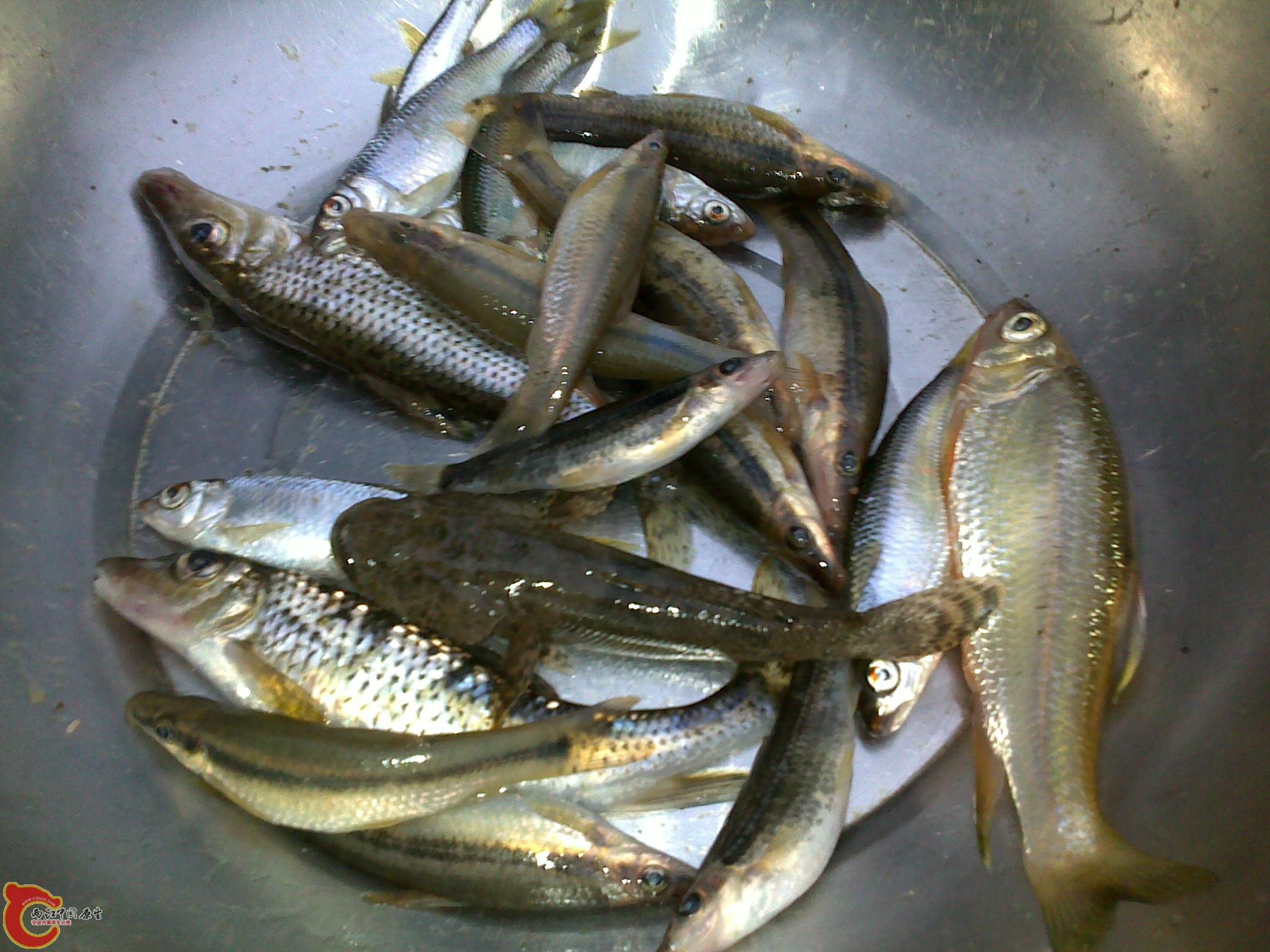 20110811255.jpg