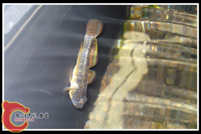 调整大小 DSC01589.JPG