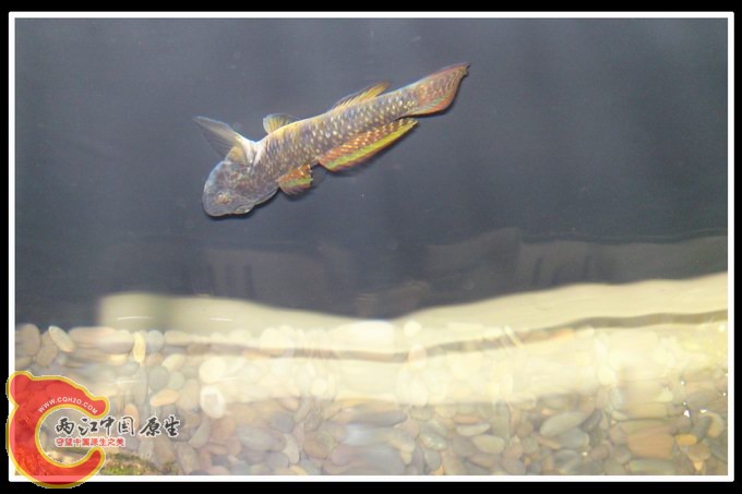 调整大小 DSC01590.JPG