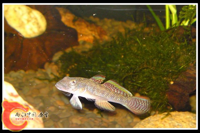 调整大小 DSC01917.JPG