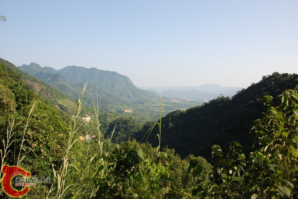 采集点