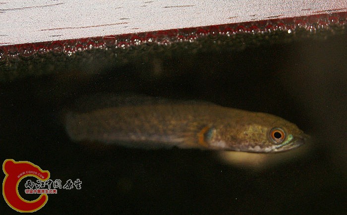 DSC04846.jpg