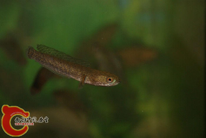 DSC04852.jpg