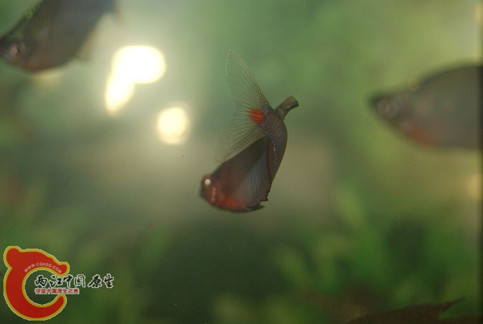 DSC04856.jpg