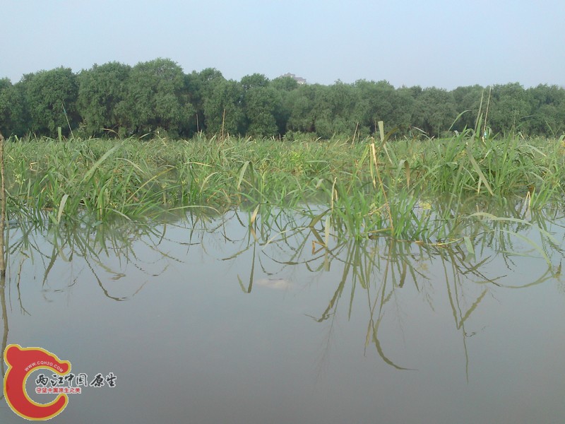 P15-08-11_07.04.jpg