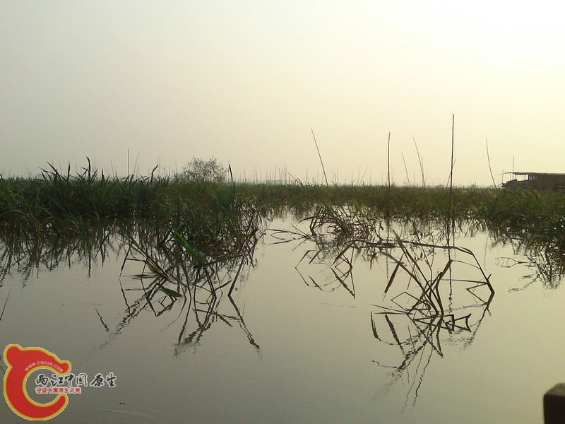 P15-08-11_07.02.jpg