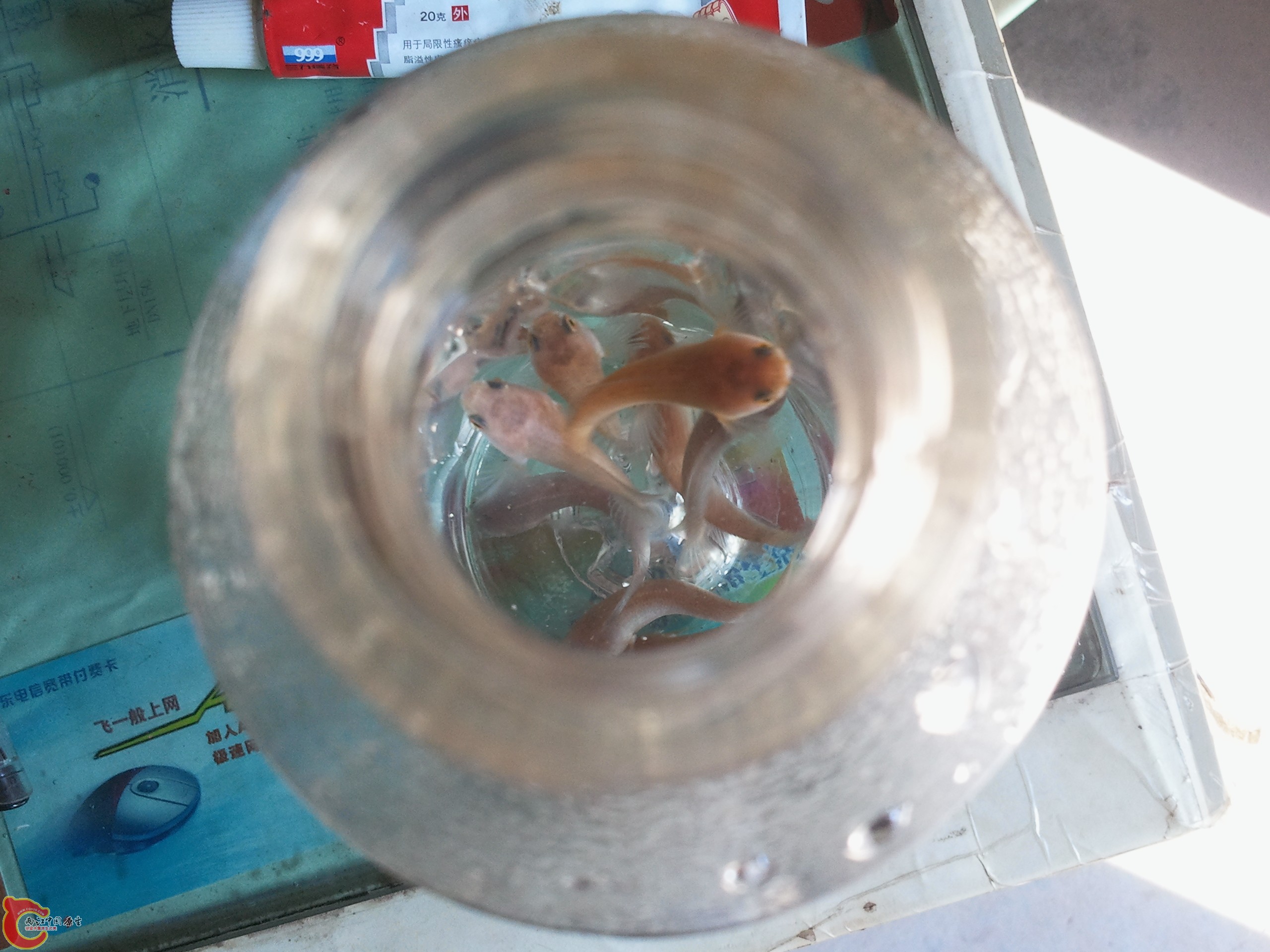 2011-08-15 09.02.01.jpg