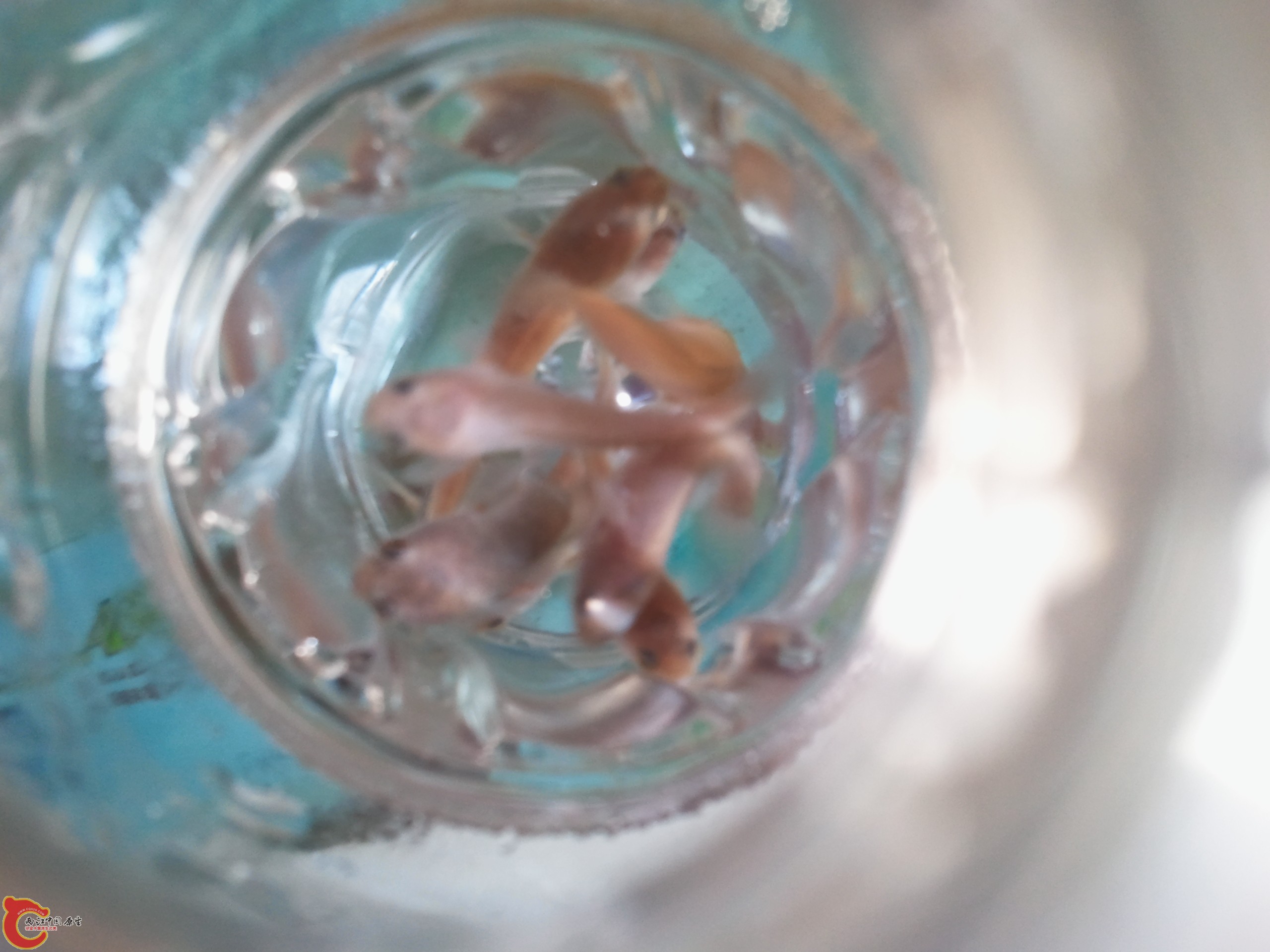 2011-08-15 09.02.22.jpg