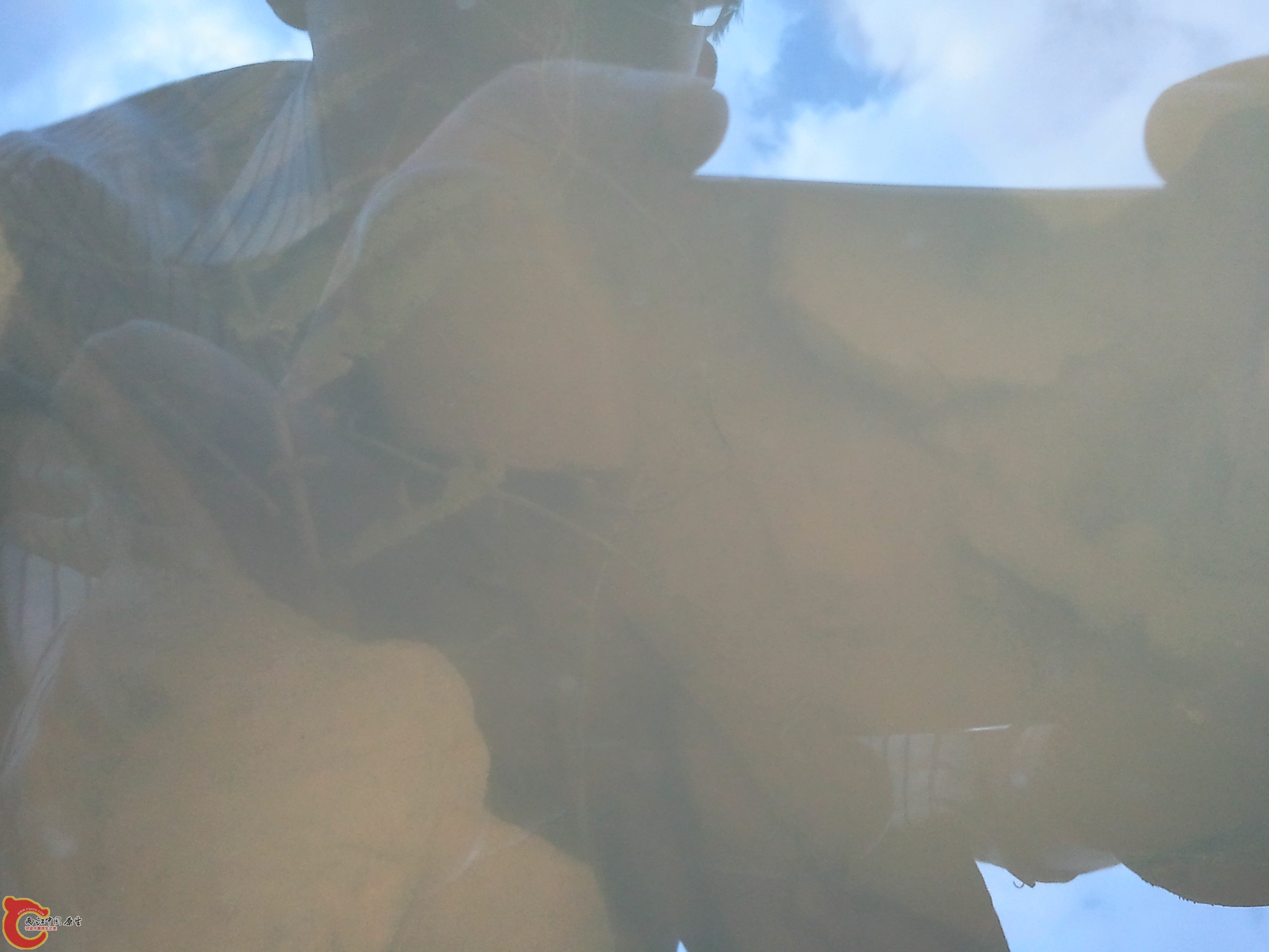 2011-08-15 10.18.27.jpg