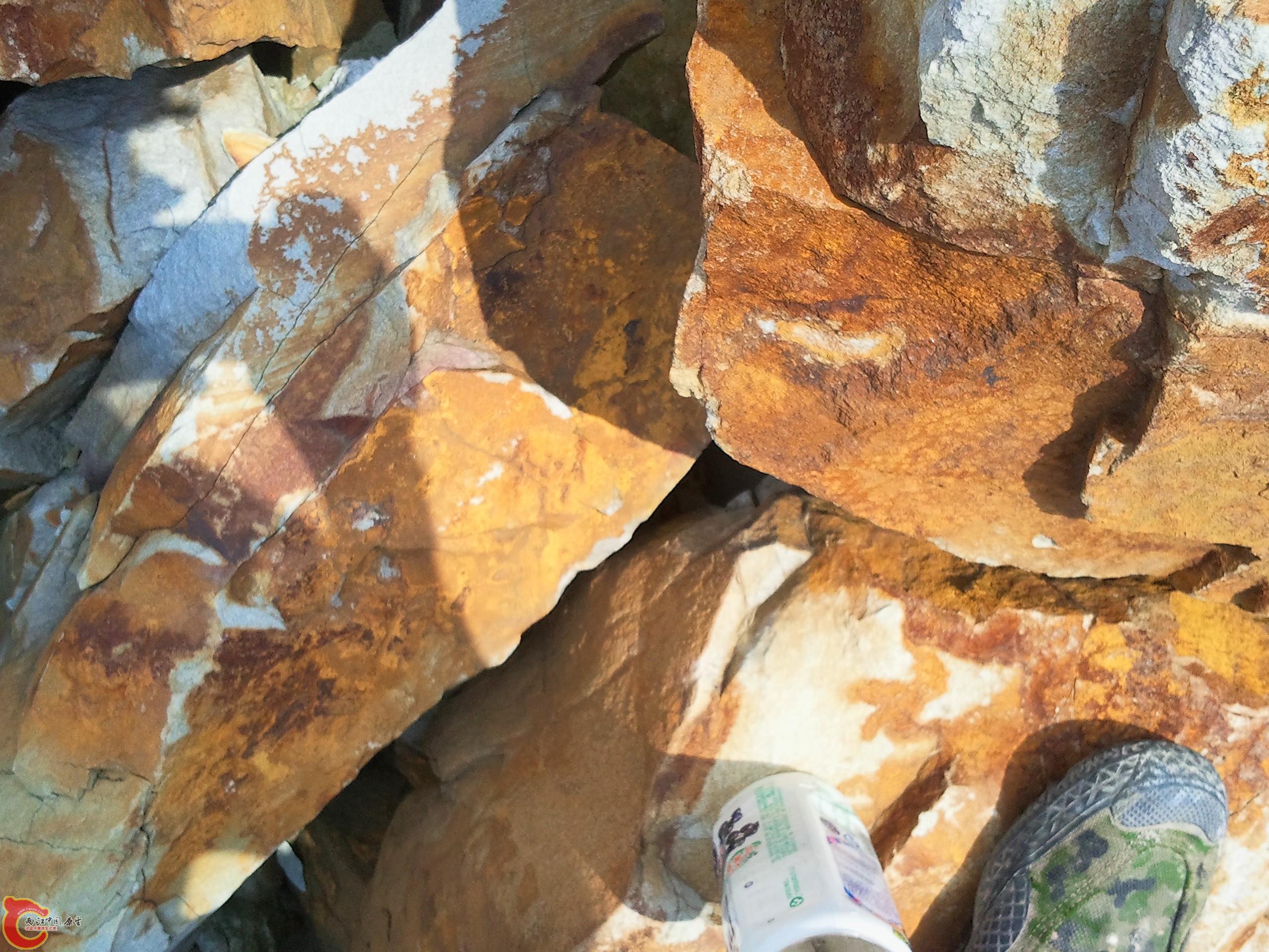 2011-08-15 10.58.33.jpg