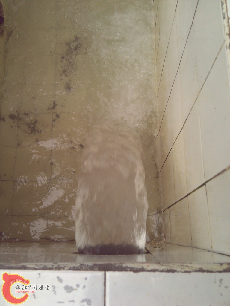 WP_000179.jpg