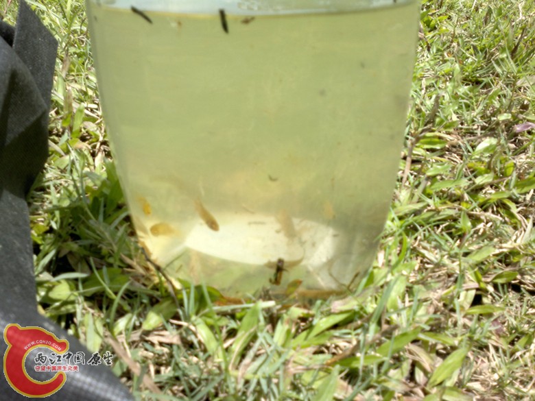 20110814093_副本.jpg
