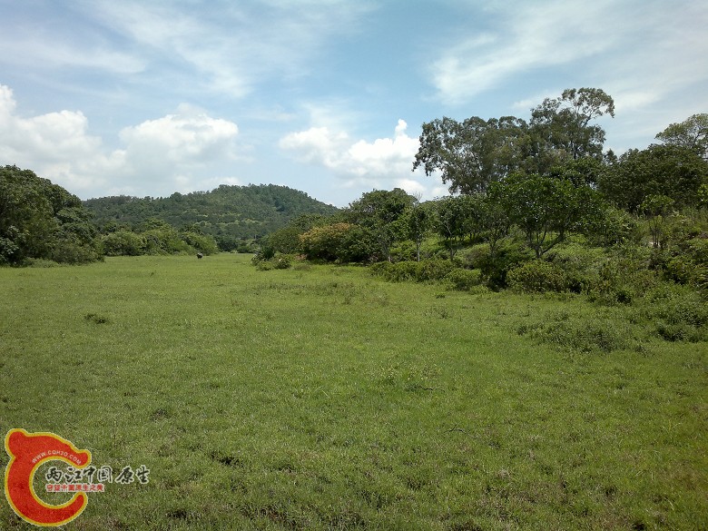 20110814097.jpg