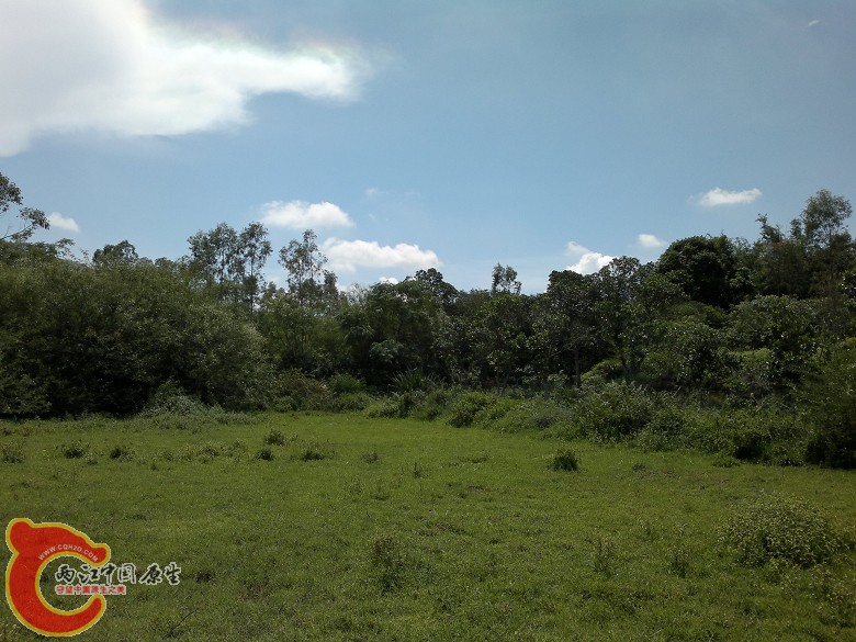 20110814099.jpg