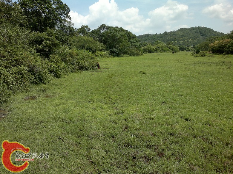 20110814100.jpg