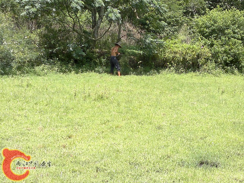 20110814102.jpg
