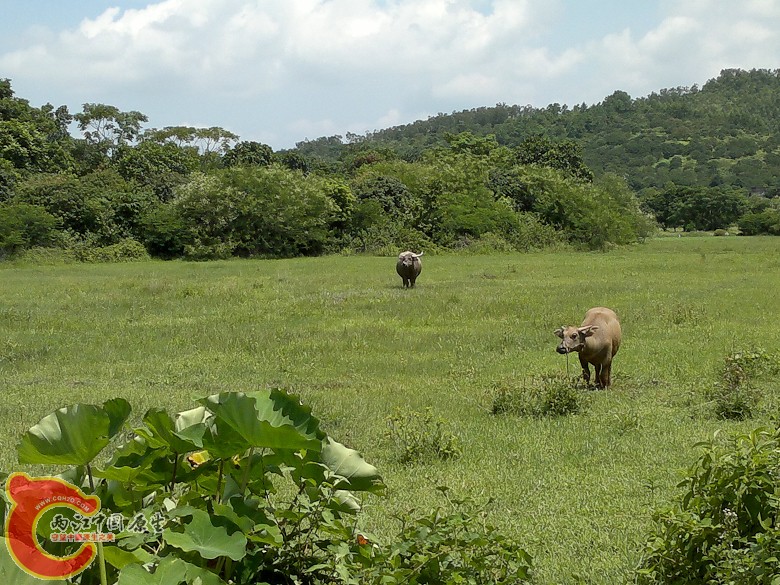 20110814103.jpg