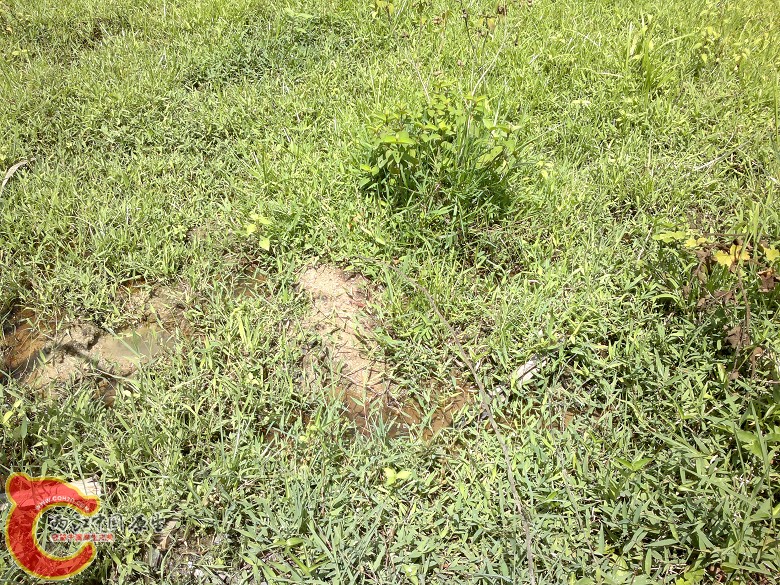 20110814105.jpg