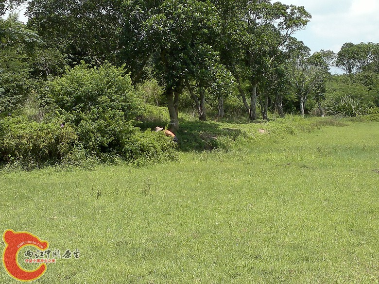 20110814106.jpg