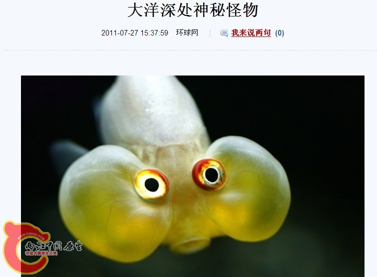 QQ截图未命名.jpg