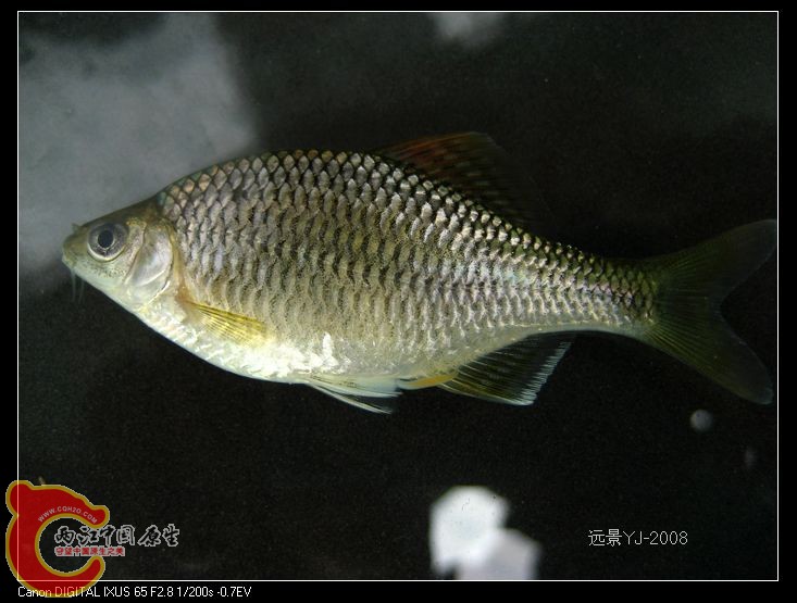 nEO_IMG_IMG_9119.jpg