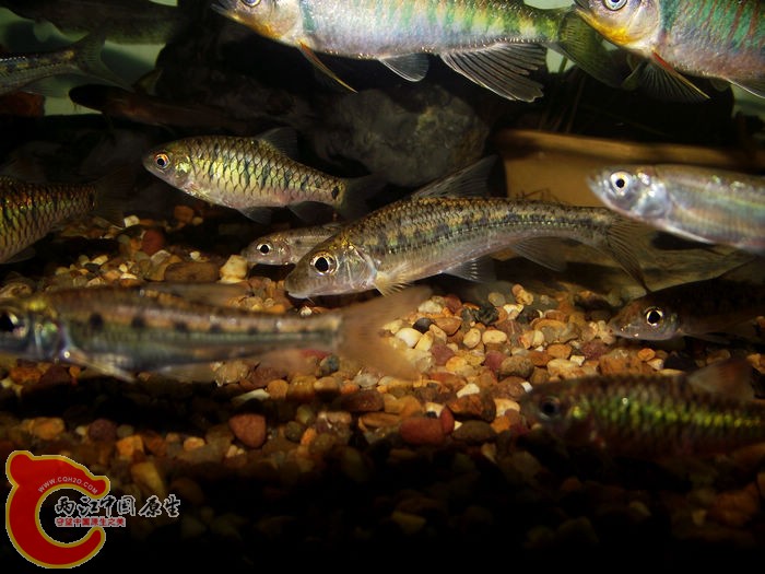 DSCF6422.jpg