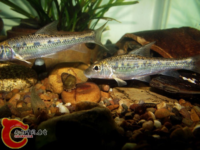 DSCF6434.jpg