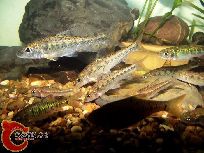 DSCF6443.jpg