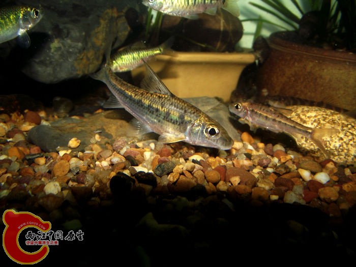 DSCF6447.jpg