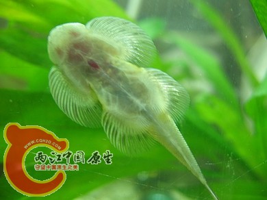 nEO_IMG_照片 001.jpg