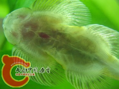 nEO_IMG_照片 005.jpg