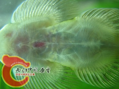 nEO_IMG_照片 006.jpg