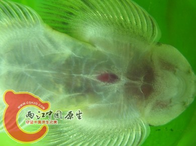 nEO_IMG_照片 007.jpg