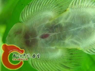 nEO_IMG_照片 008.jpg