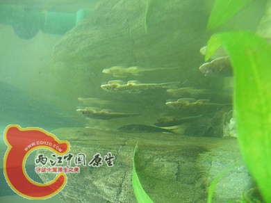 nEO_IMG_照片 012.jpg