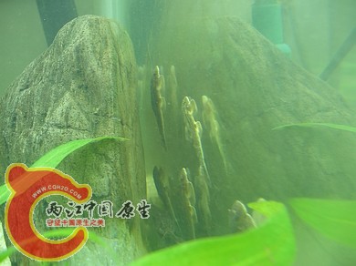 nEO_IMG_照片 013.jpg
