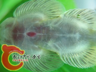 nEO_IMG_照片 021.jpg