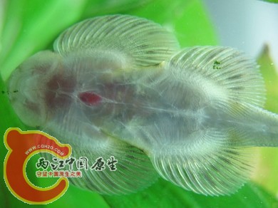 nEO_IMG_照片 022.jpg
