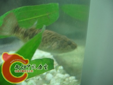 nEO_IMG_照片 023.jpg