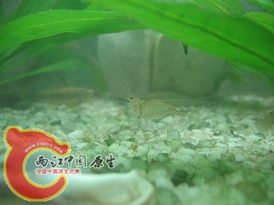 nEO_IMG_照片 024.jpg