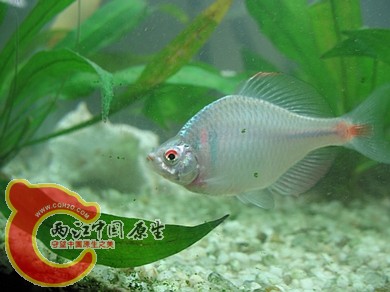 nEO_IMG_照片 025.jpg