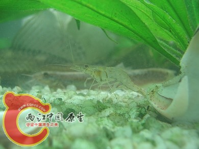 nEO_IMG_照片 026.jpg