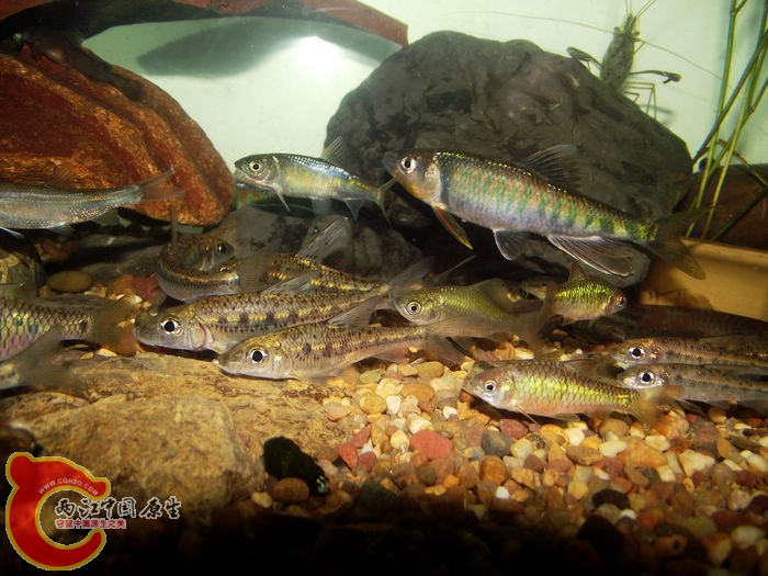 DSCF6474.jpg