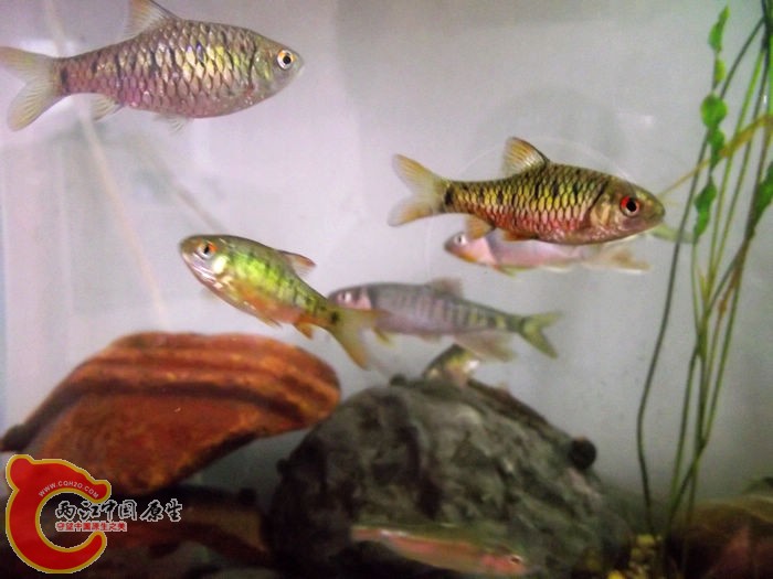 DSCF6560.jpg