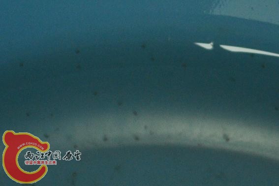 CSC_1140.JPG