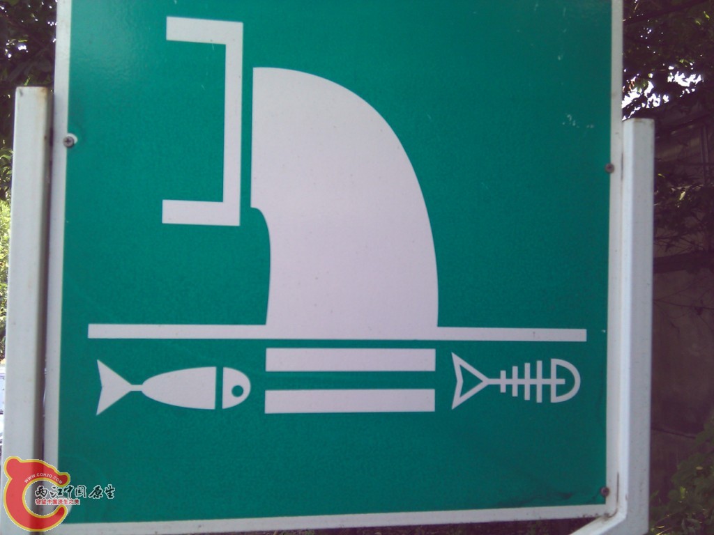 W3.jpg