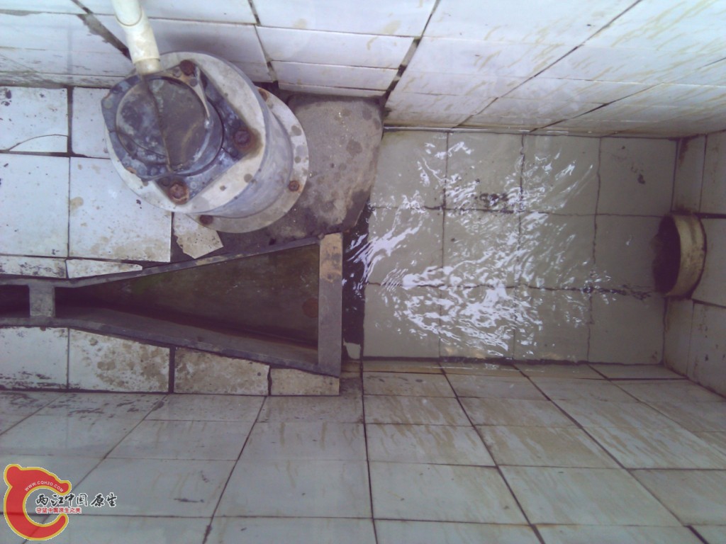 W2.jpg