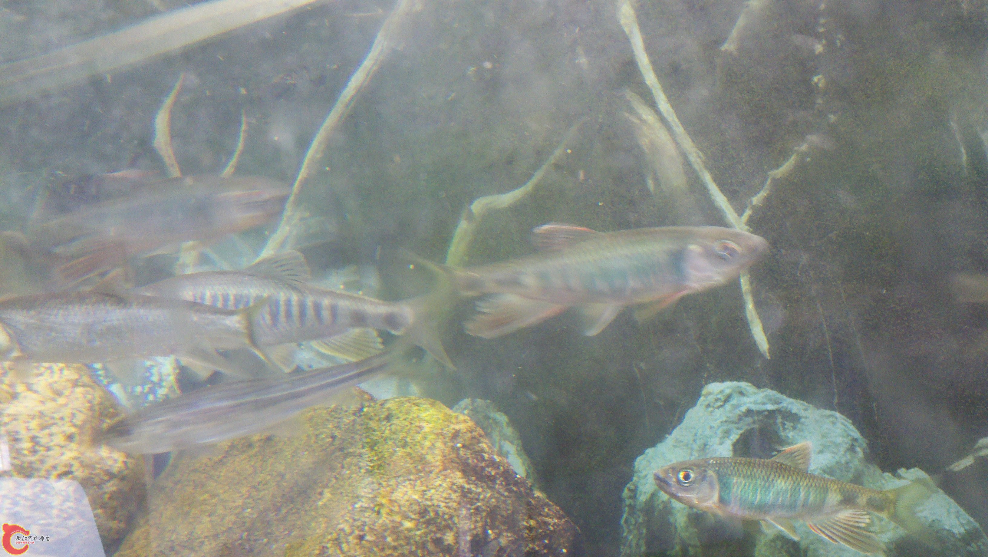 2011-08-21_15-32-57_982.jpg